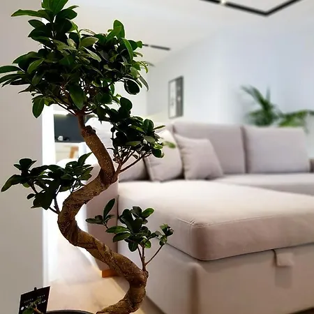 Artnest Luxury & 4*