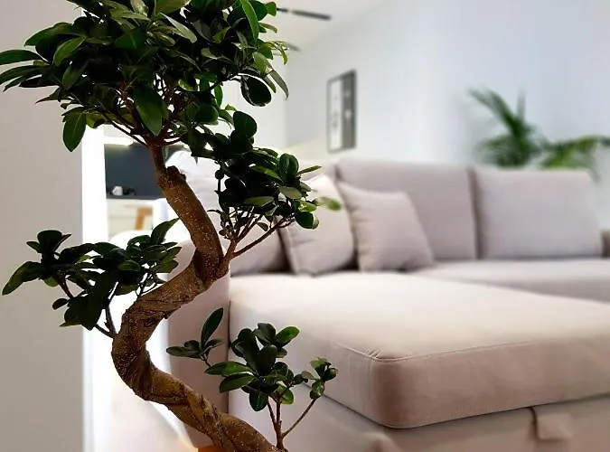 Artnest Boutique & 4*